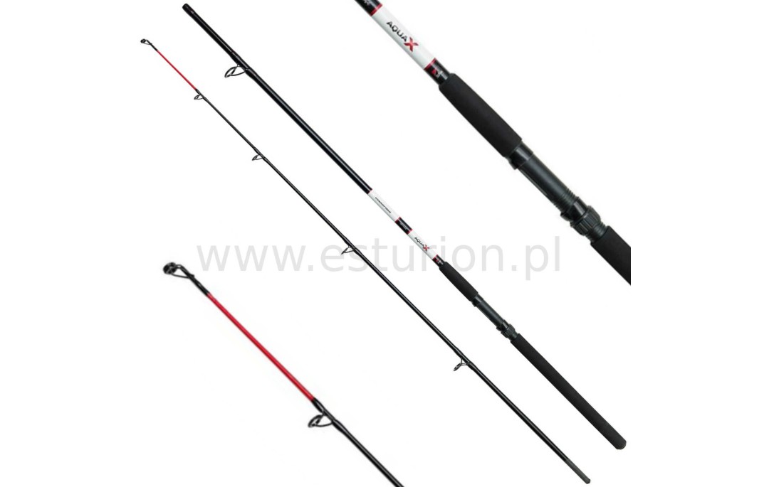Wędka Aqua-X Allround 240cm 100-200g DAM