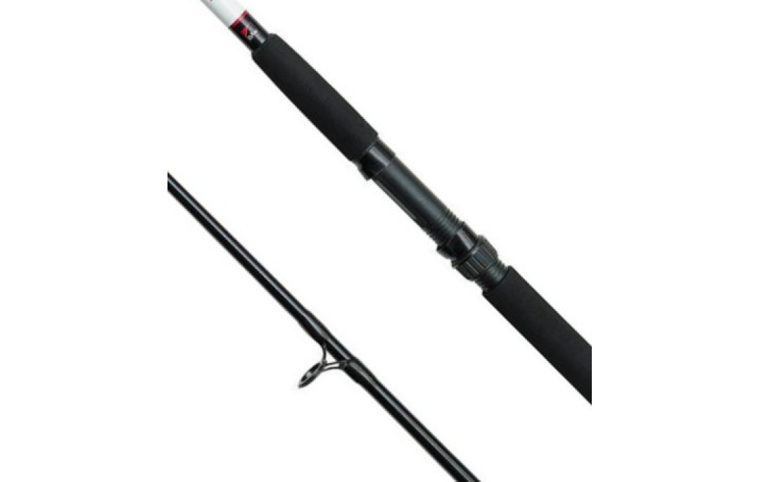 Wędka Aqua-X Allround 240cm 100-200g DAM