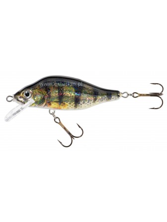 Wobler Holo Select Valader 9cm ON Jaxon