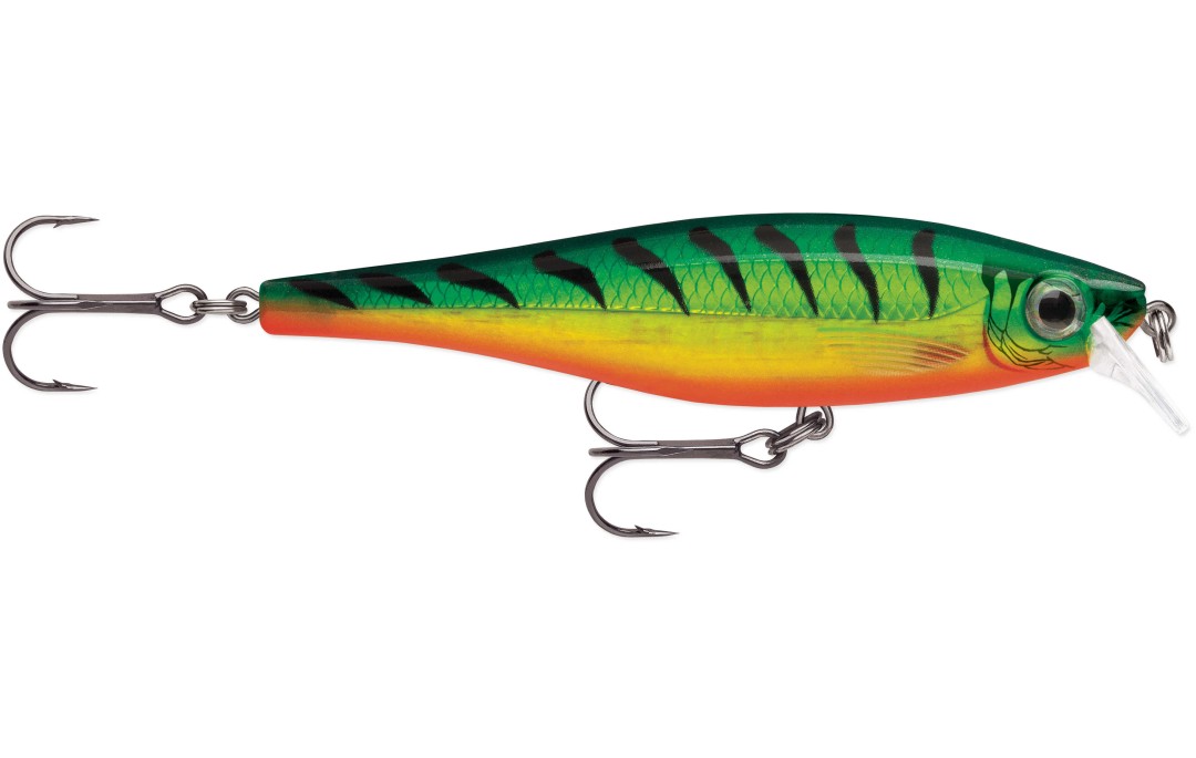 Wobler BX Minnow 10cm FT Rapala
