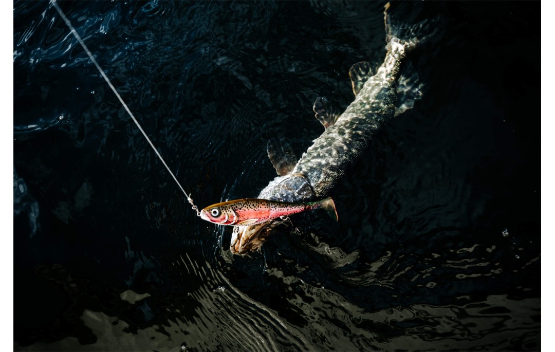 Wobler X-Rap Peto 14cm BGH Rapala