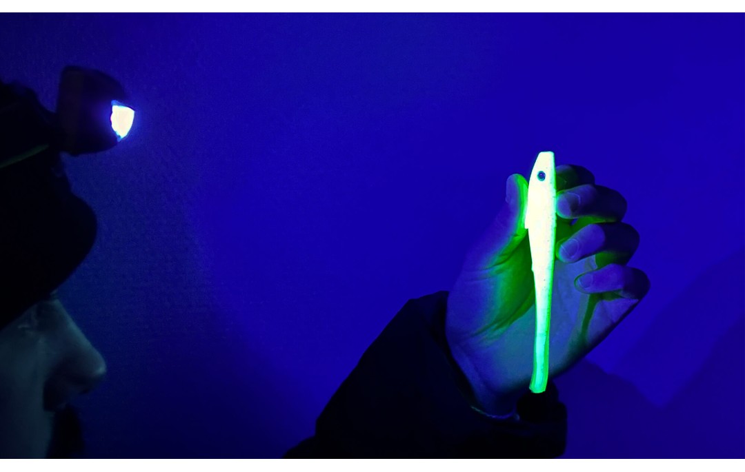 Latarka czołowa ze światłem Białym oraz UV 75lm SPRO